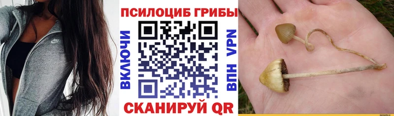 даркнет сайт  Талдом  Псилоцибиновые грибы GOLDEN TEACHER 